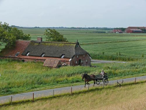 Osterwarfer Weg 1/kleine Wohnung
