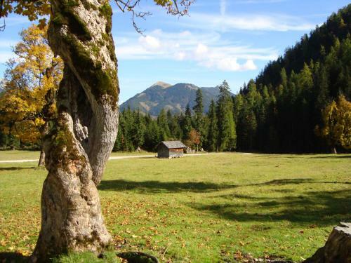 Apartamentos Ferienwohnung Wetterstein