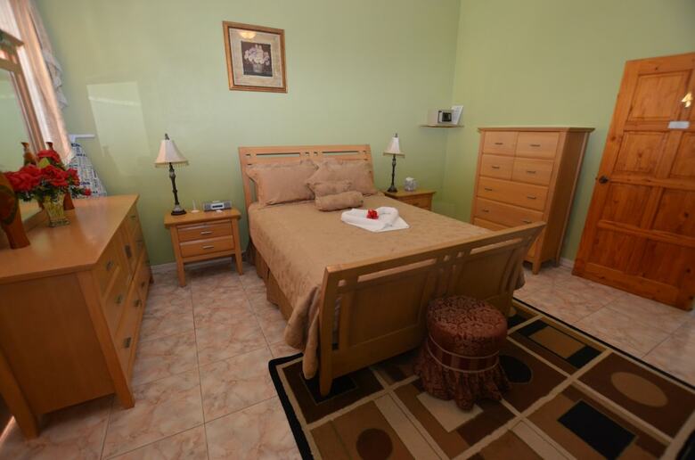 Dream Castle Villa, Montego Bay 8br