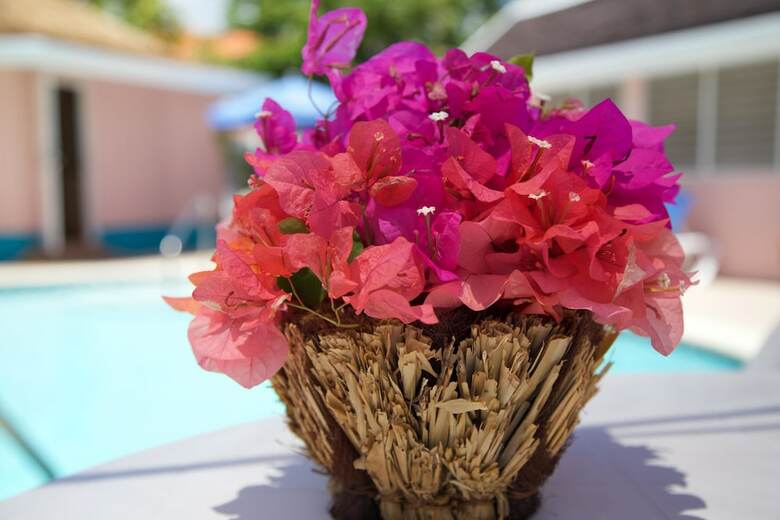 Windjammer, 4br By Jamaican Treasures