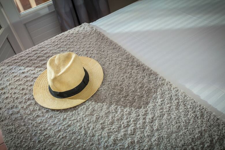 Hotel H�tel Saint Geni�s