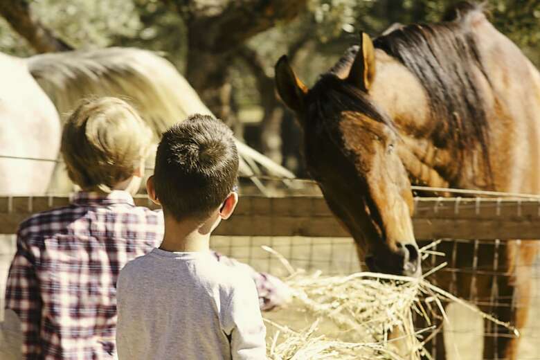 Agroturismo Casale Torre San Magno