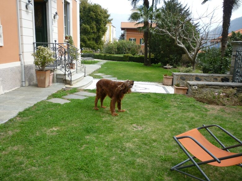 Bed & Breakfast Locanda Dei Pini