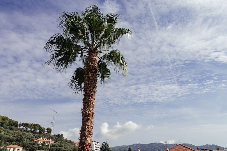 Apartamento Residence Greco