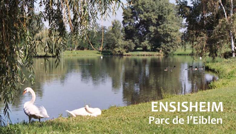 Hotel H�tel La Couronne