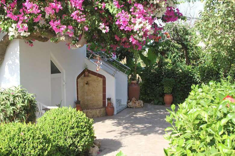 Apartamentos Pauls Garden Studios