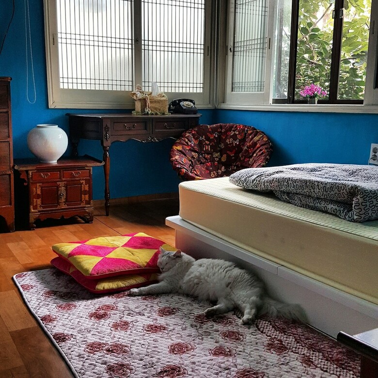 Camino B&B