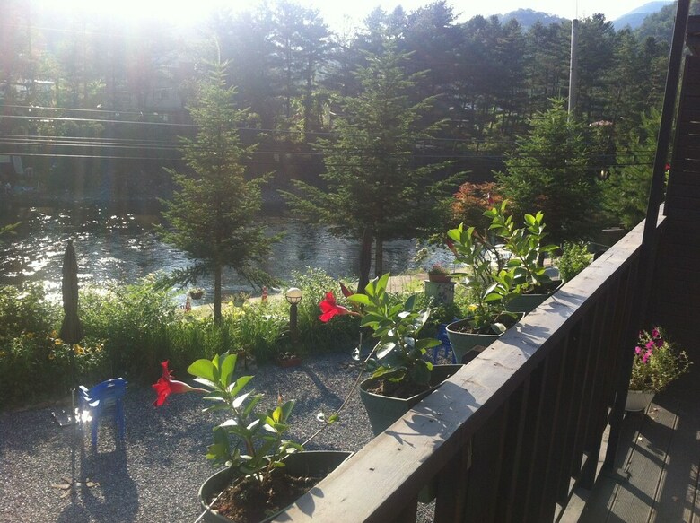 Hotel Planttrees House