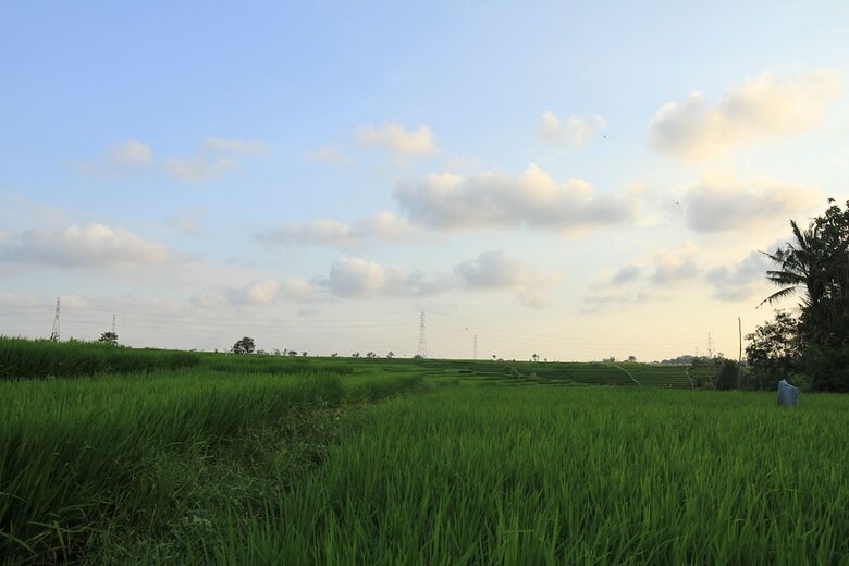 Bed & Breakfast Desa Cepaka Homestay