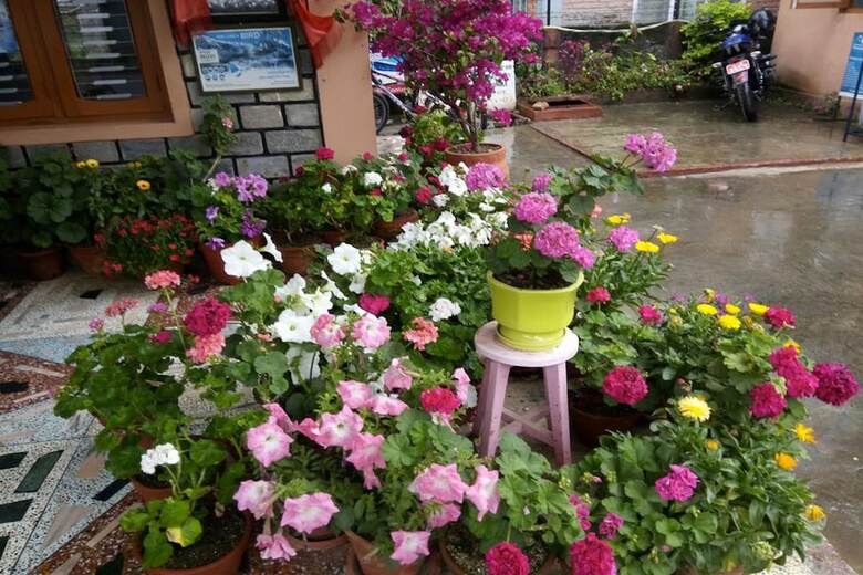 Hotel Galaxy Inn Guest House