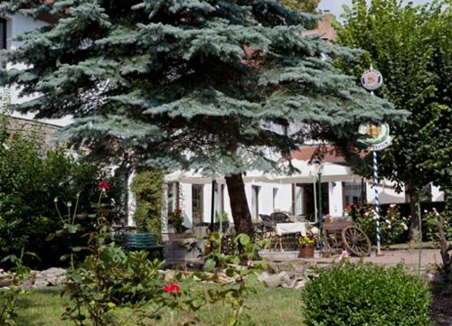 Hostal Hotel Lindenhof