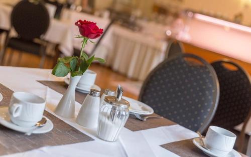 Hostal Hotel Thielmann
