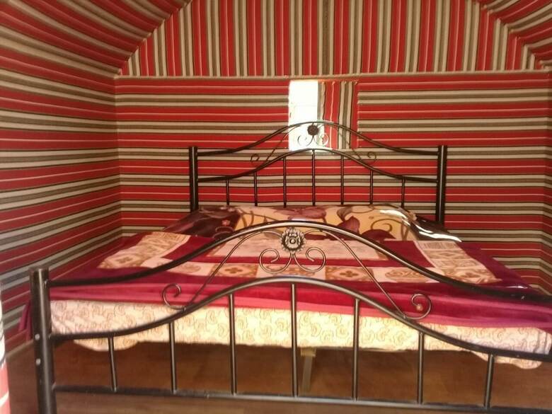 Wildlife Camp