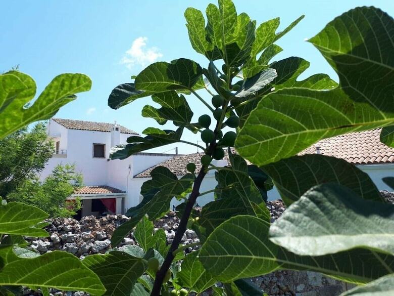 Agroturismo Masseria Costarella