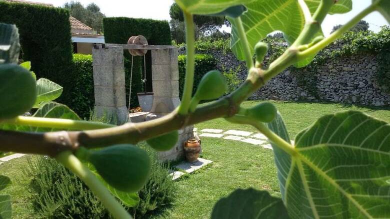Agroturismo Masseria Costarella