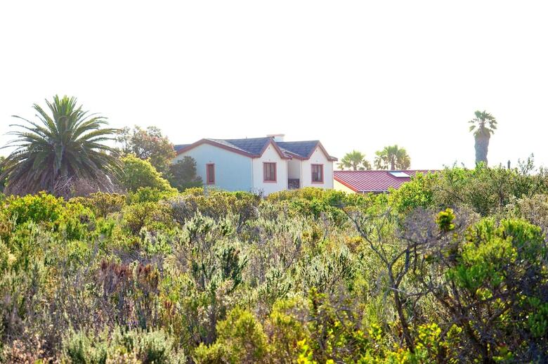 Bed & Breakfast Hermanus At Home