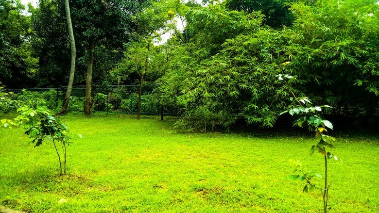 Hotel Deer Garden Guest