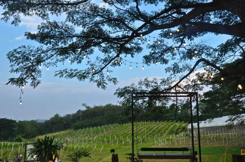 Issara Boutique Winery Hotel