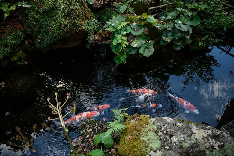 Yunohira Onsen Ryokan Kamiyanagiya