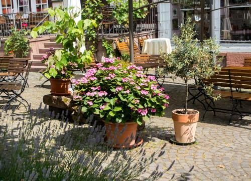 Gasthaus Und Hotel Weber