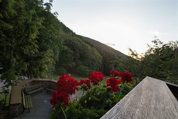 Wald-hotel Heppe