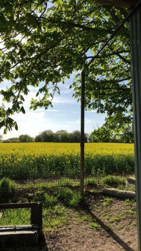 Hostal Landhaus J�gerhof