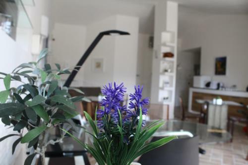 Attico Luxury B&B