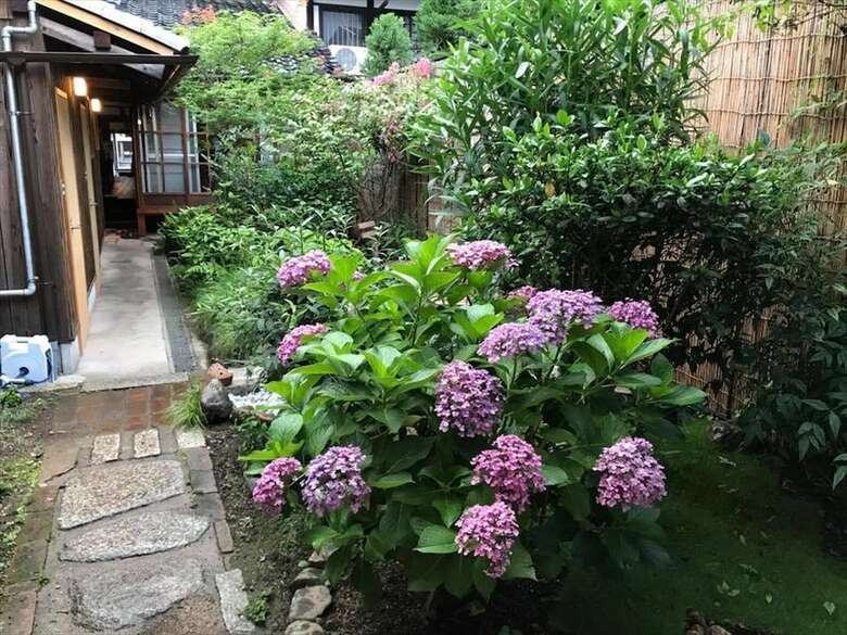 Hotel Guest House Umeya