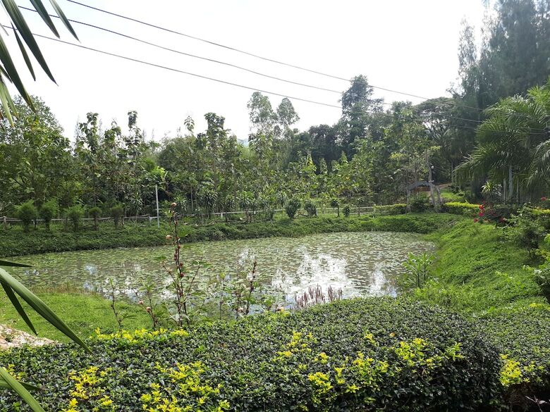Hotel Rai Phuphapok