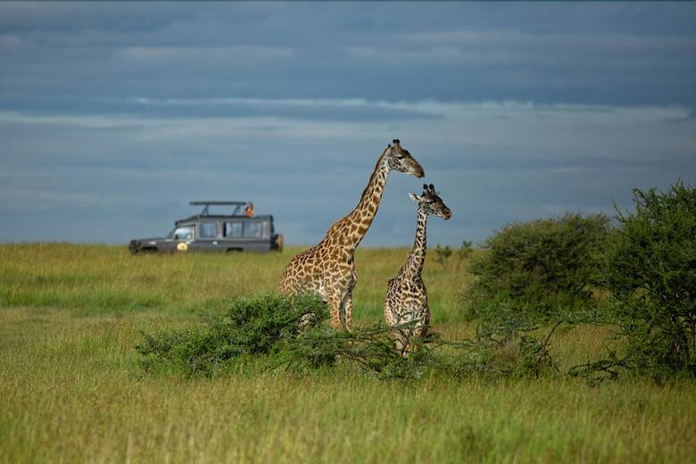 Pumzika Classic Safari Camp