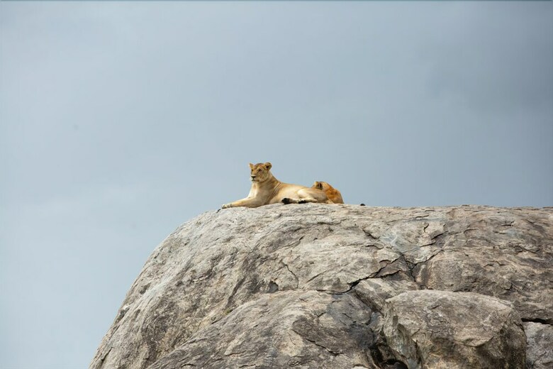 Pumzika Classic Safari Camp