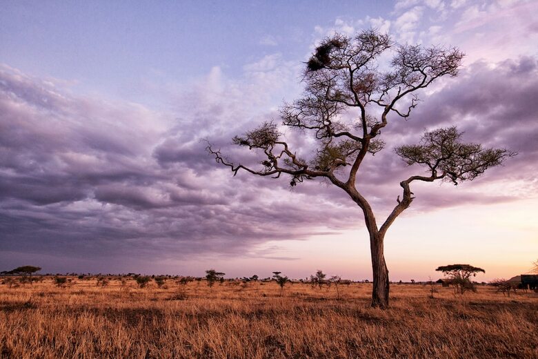 Pumzika Classic Safari Camp