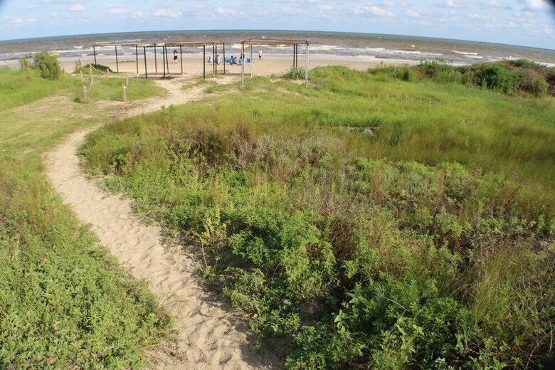 Boardwalk