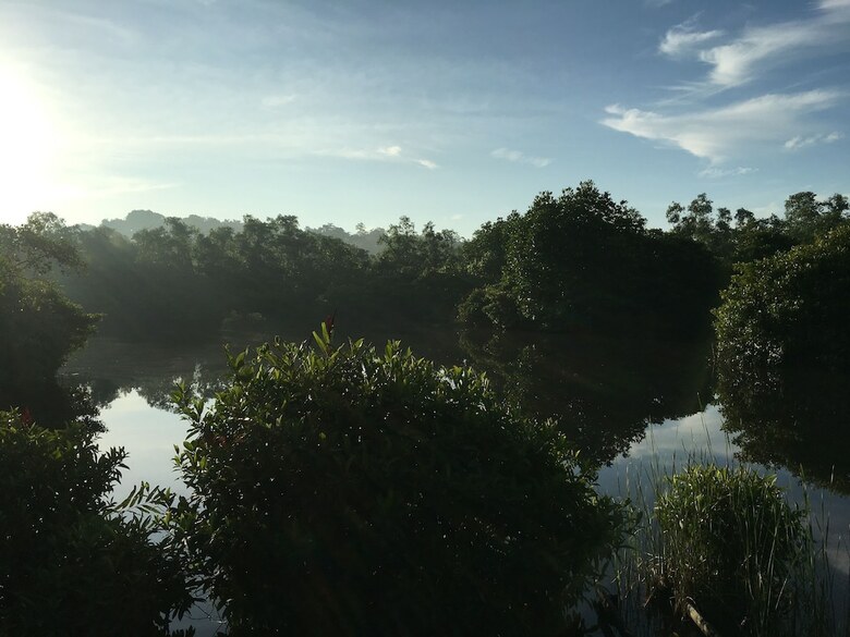 Apartamento Kaju Green Eco Lodges