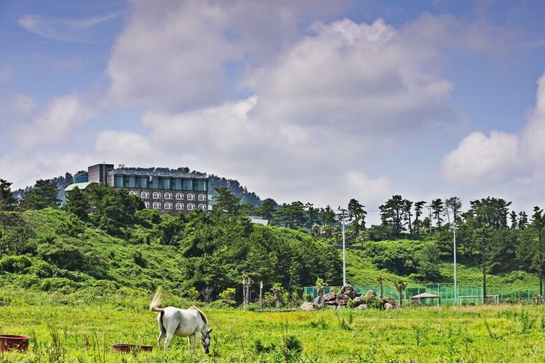 Hotel New Ocean Resort