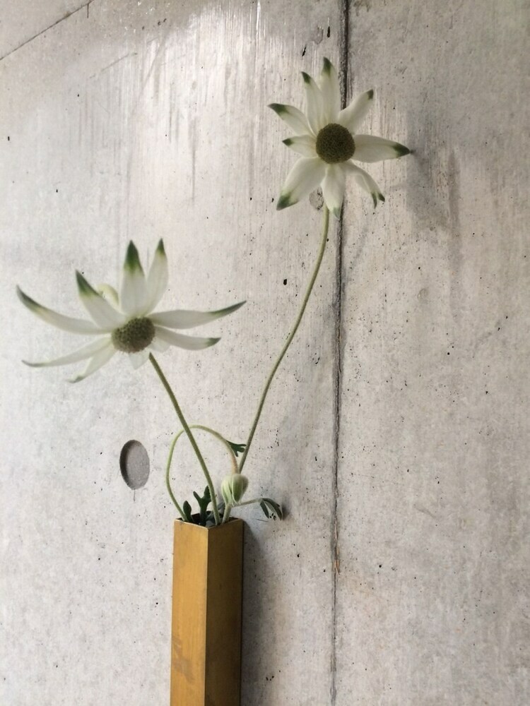 Hotel Toka / Kyoto