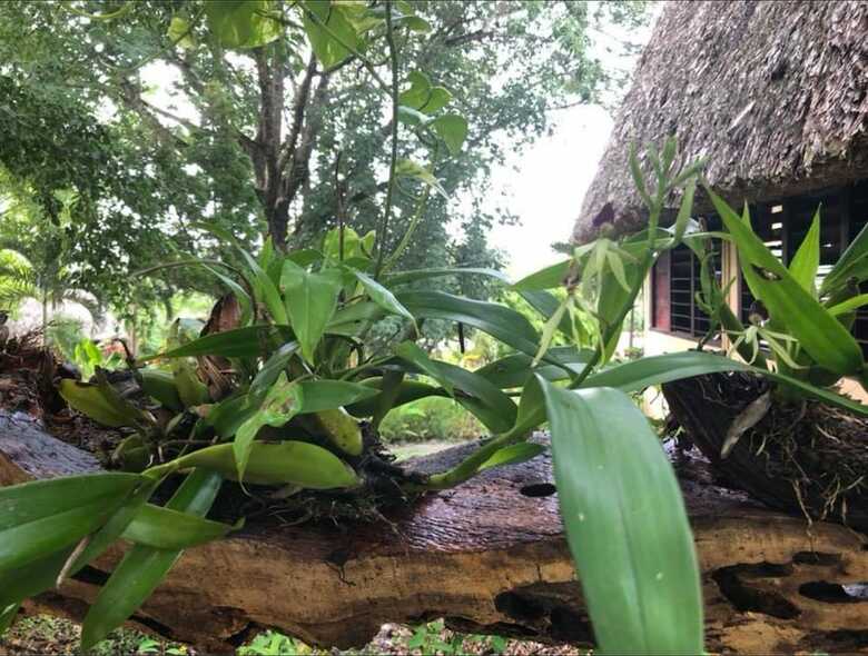 Apartamento Cassia Hill Resort