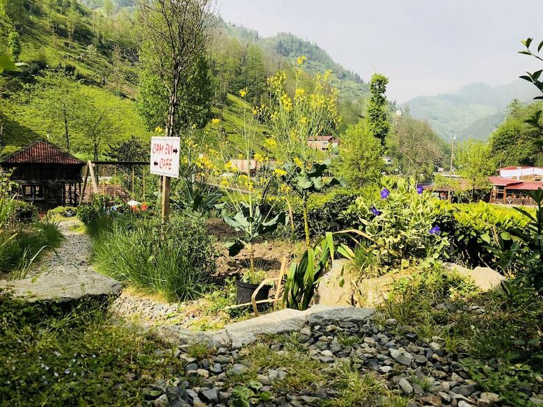 Hotel Tabiat Bungalows