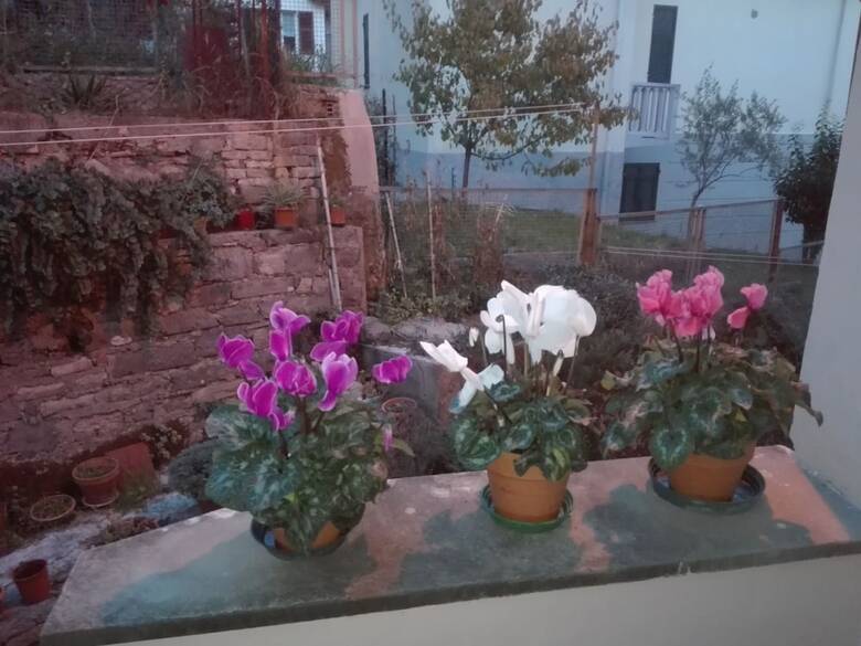 Apartamento Il Borgo Antico