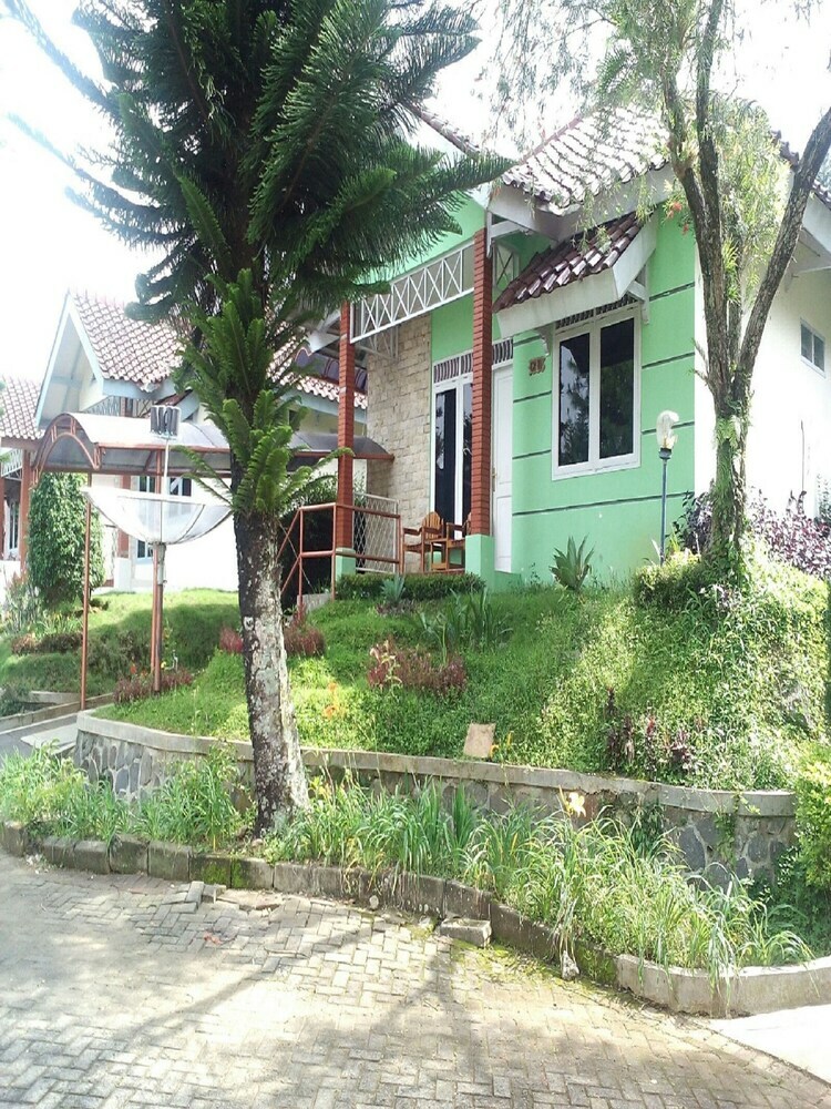 Villa Kota Bunga Dandelion
