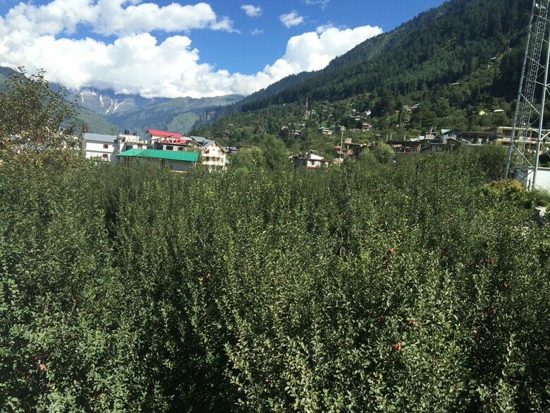 Hotel Apple Paradise