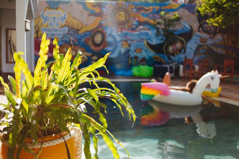 Hostal Dragon Dive Komodo Hostel