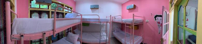 Hostal Dragon Dive Komodo Hostel