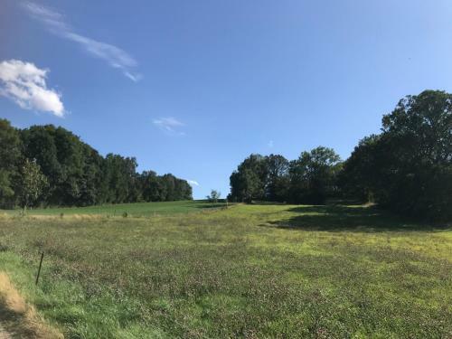 Hostal Landhotel Trakehnerhof