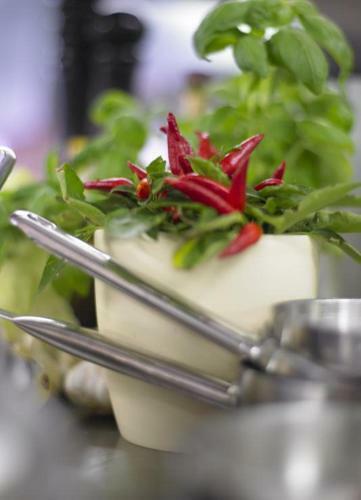Adler Hotel & Restaurant Gro�-gerau