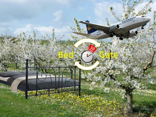 Bed & Breakfast Villa Orchard