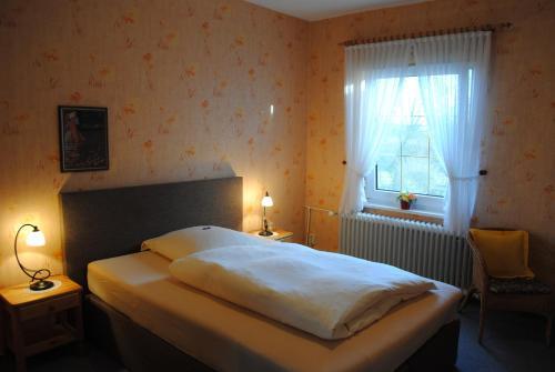 Hostal Hotel Seelust