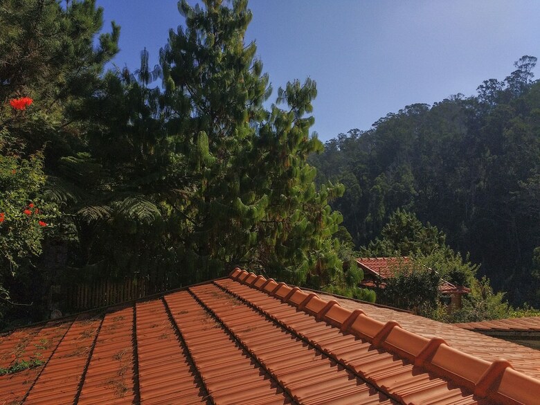Casas Maravilha Calheta