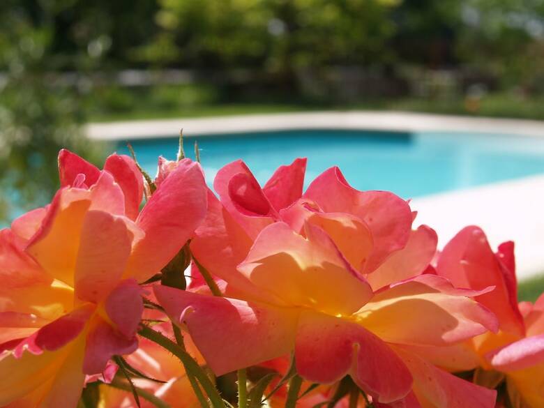 Hotel Chambres & Table D'h�tes La Vayssade