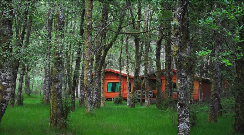 Agroturismo Bungalows Da Peneda
